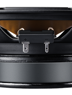 Bộ loa cánh cửa Hi-end DynAudio Esotan 212